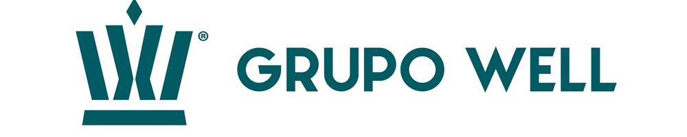 PROMOCIONES WELL